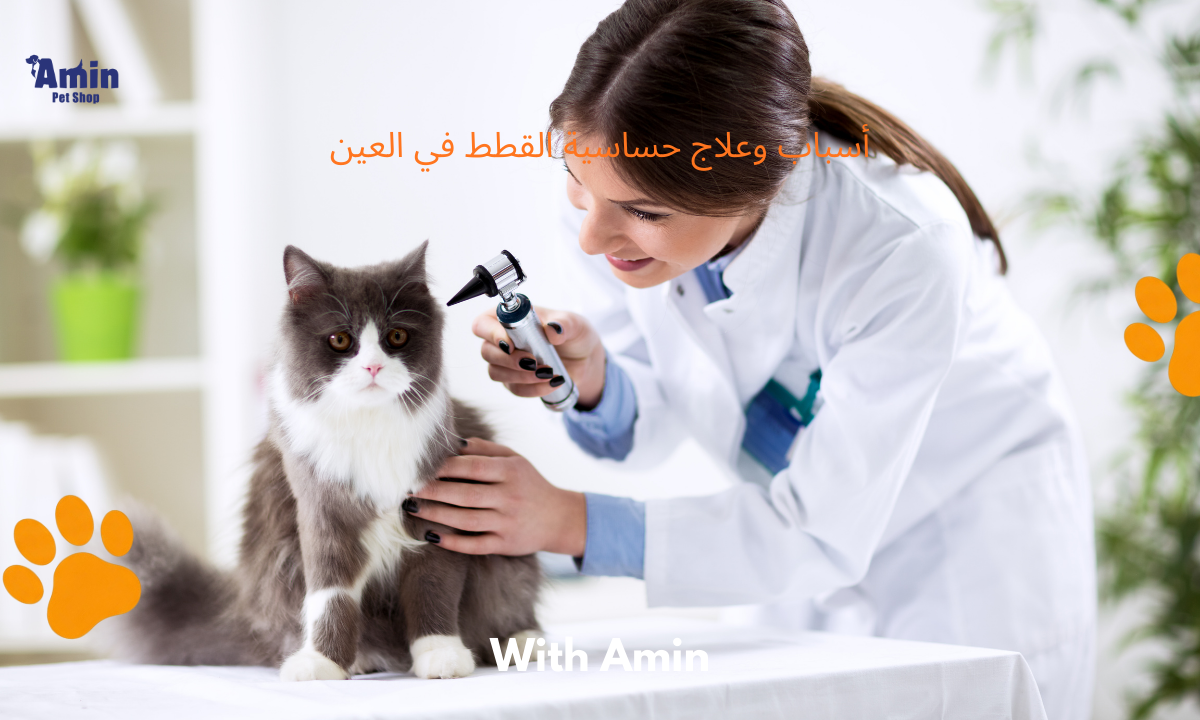 أسباب وعلاج حساسية القطط في العين