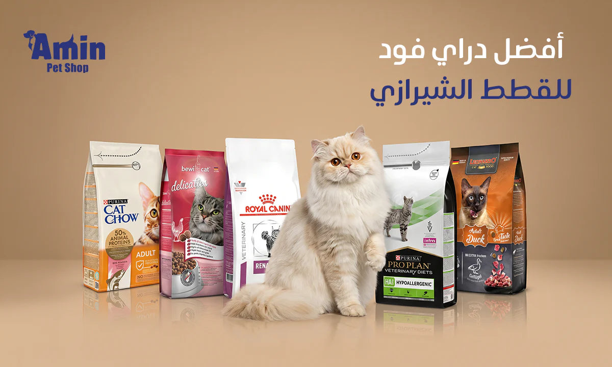 أفضل دراي فود للقطط الشيرازي