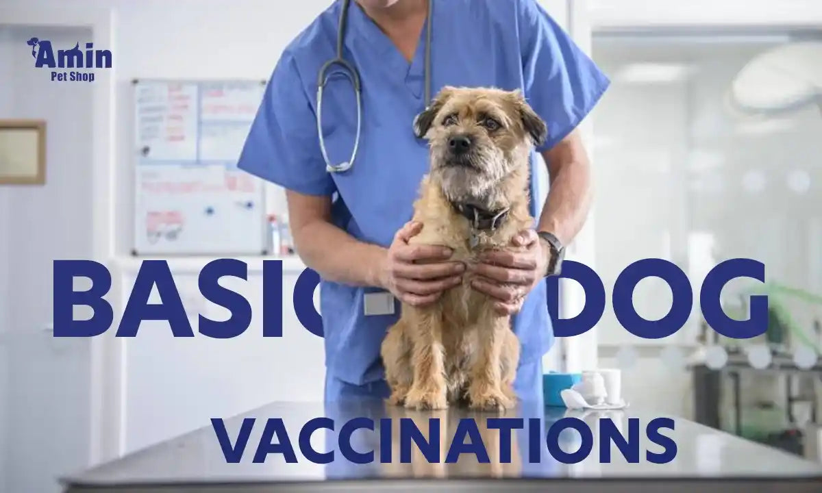 basic dog vaccinations