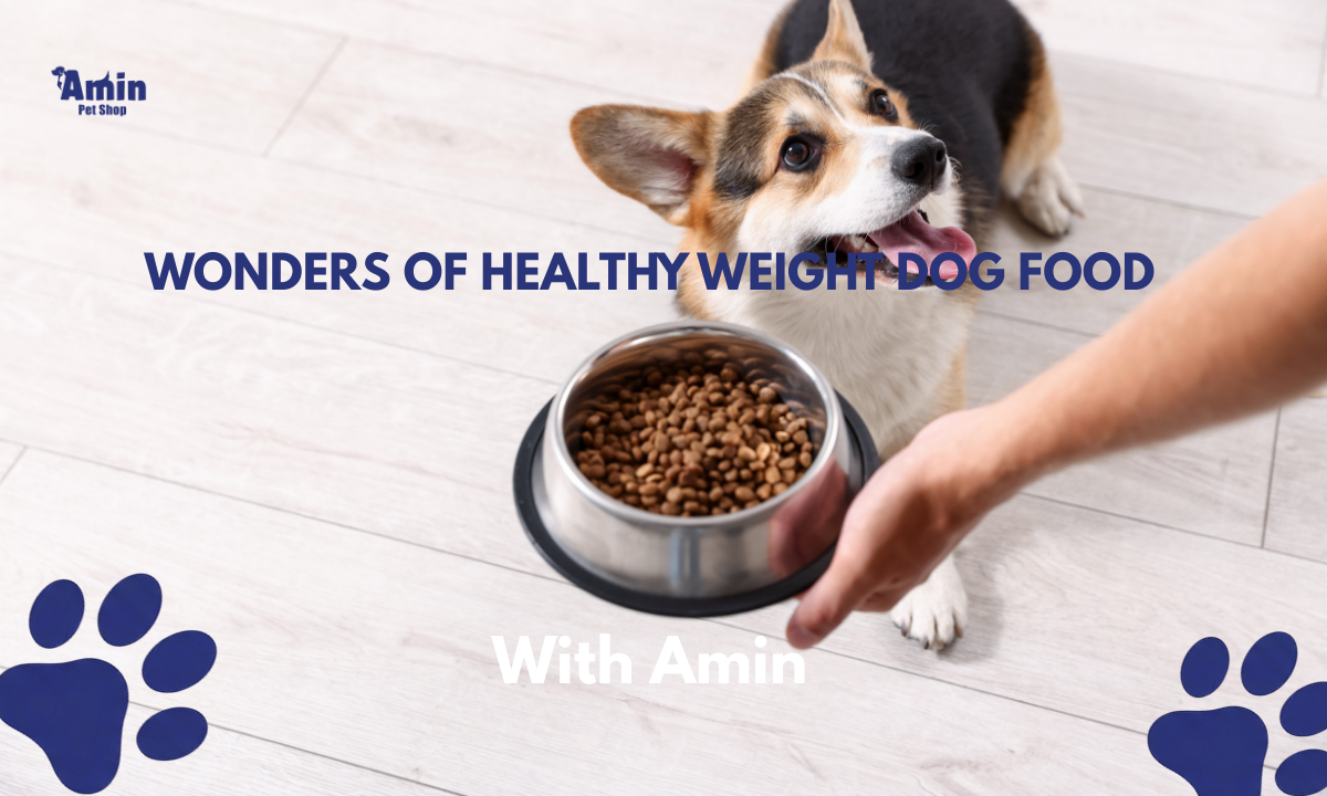 Wonders of healthy weight dog food