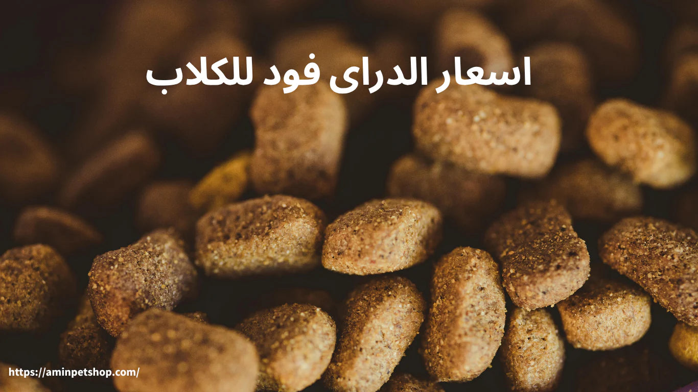 اسعار الدراى فود للكلاب وأفضل الأنواع المتوفرة