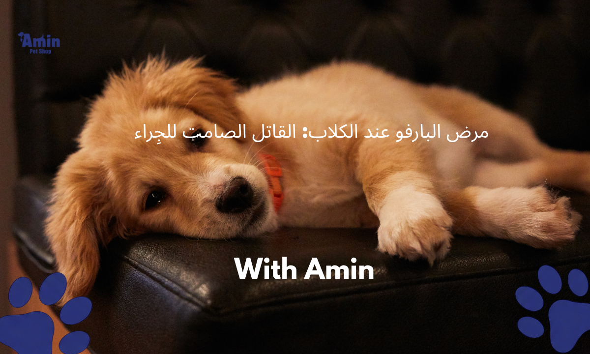 اخطر امراض الكلاب: سبب موت الكلاب الصغيرة وأهم طرق الوقاية منها