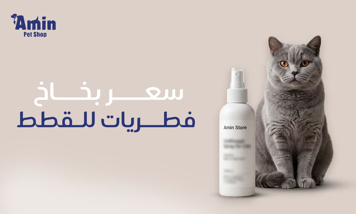 سعر بخاخ فطريات القطط
