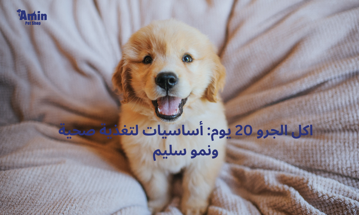 اكل الجرو 20 يوم: أساسيات لتغذية صحية ونمو سليم