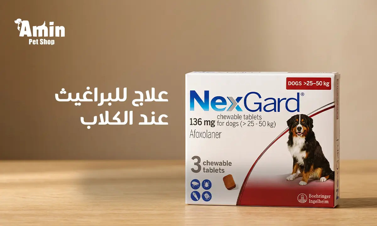 علاج للبراغيث عند الكلاب