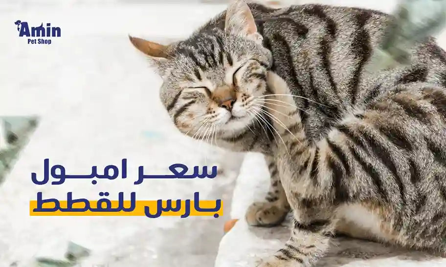 سعر امبول بارس للقطط: الحماية الفعالة من الطفيليات بتكلفة مناسبة