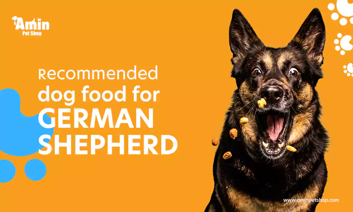 Dry dog food for german shepherd online