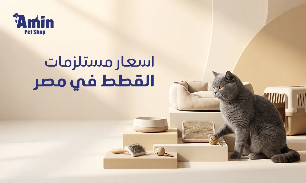 اسعار مستلزمات القطط في مصر