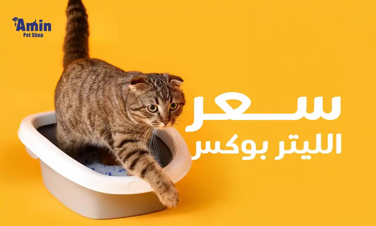 سعر الليتر بوكس