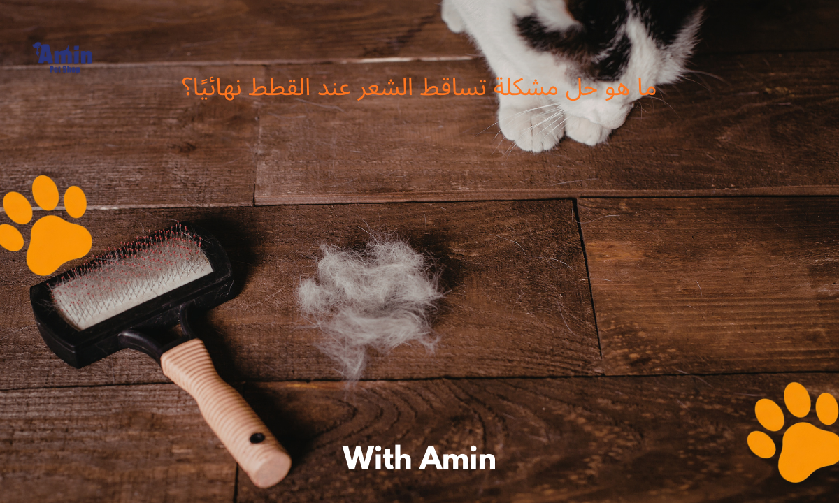 ما هو حل مشكلة تساقط الشعر عند القطط نهائيًا؟