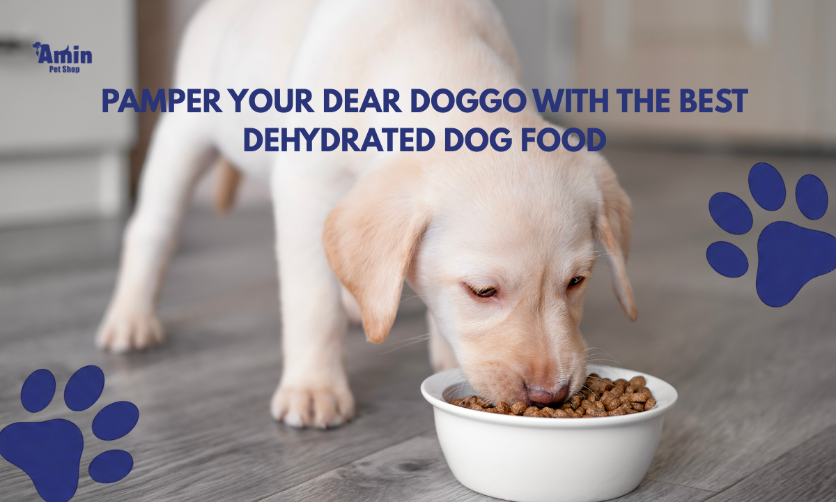 Pamper Your Dear Doggo with the Best Dehydrated Dog Food