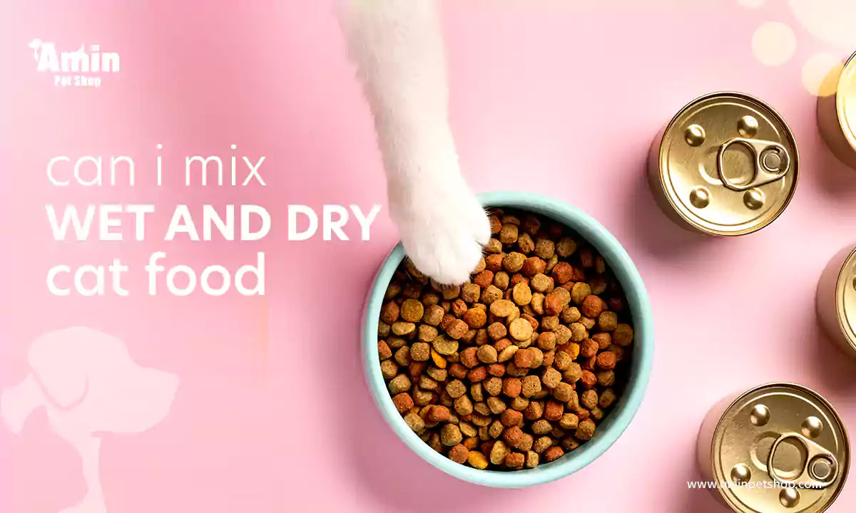 Can I mix wet and dry cat food