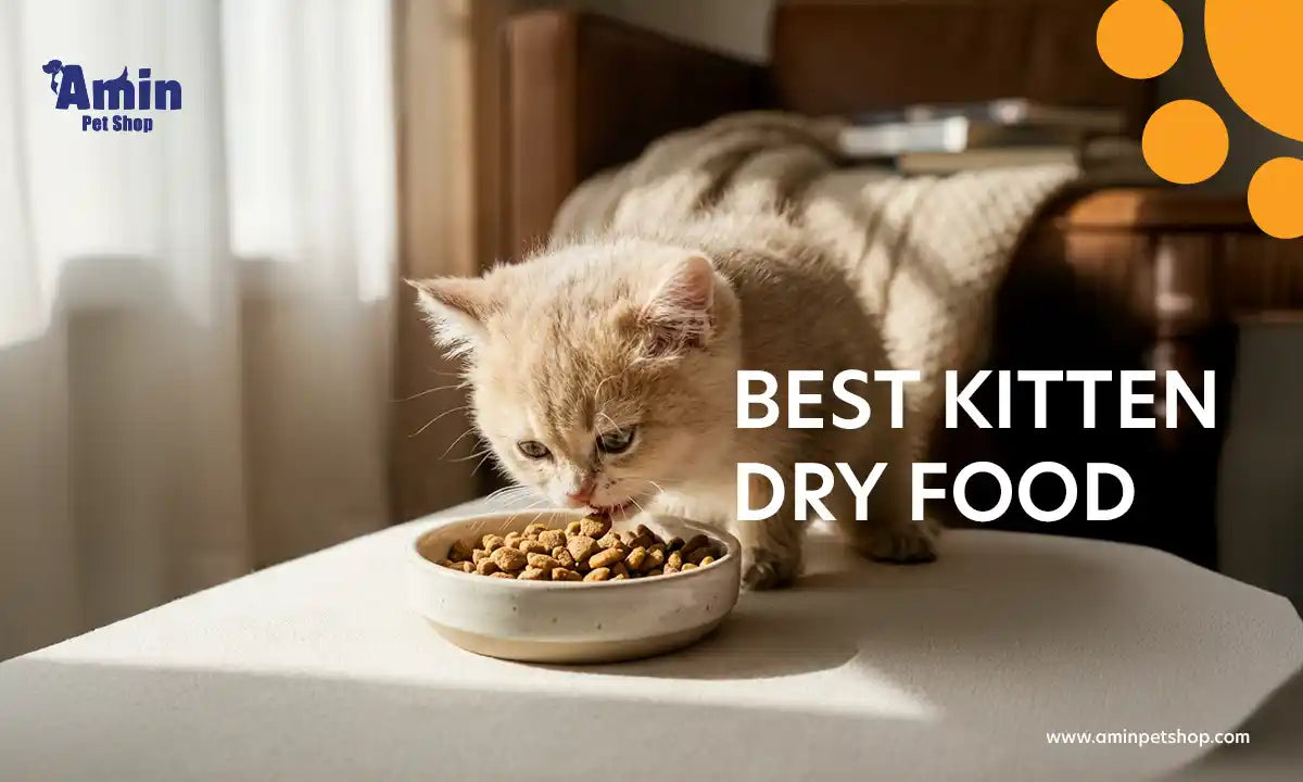 Pro Plan Kitten Food
