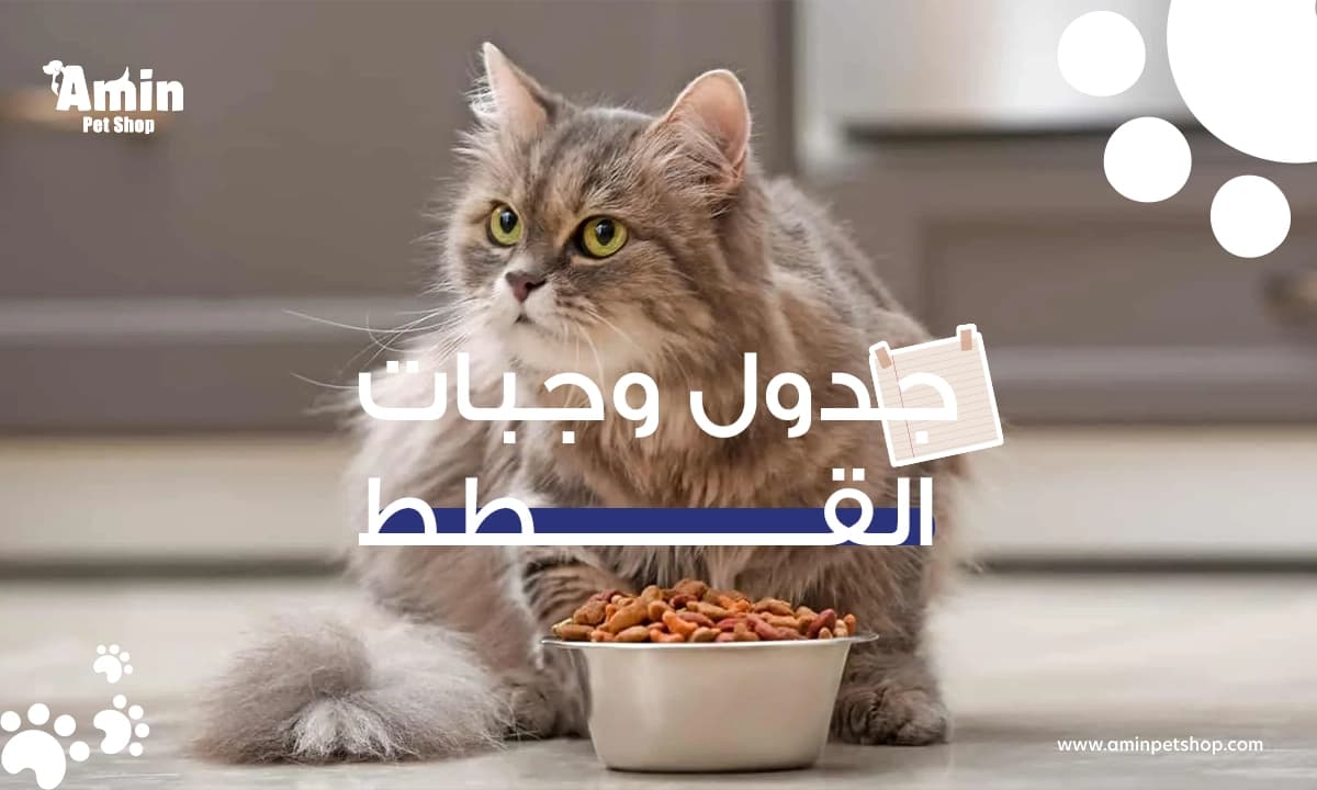 جدول وجبات القطط