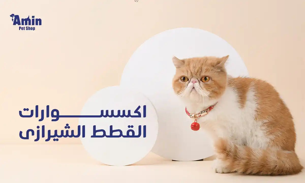 اكسسوارات القطط الشيرازى