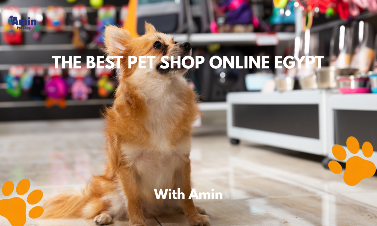The Best Pet Shop Online Egypt