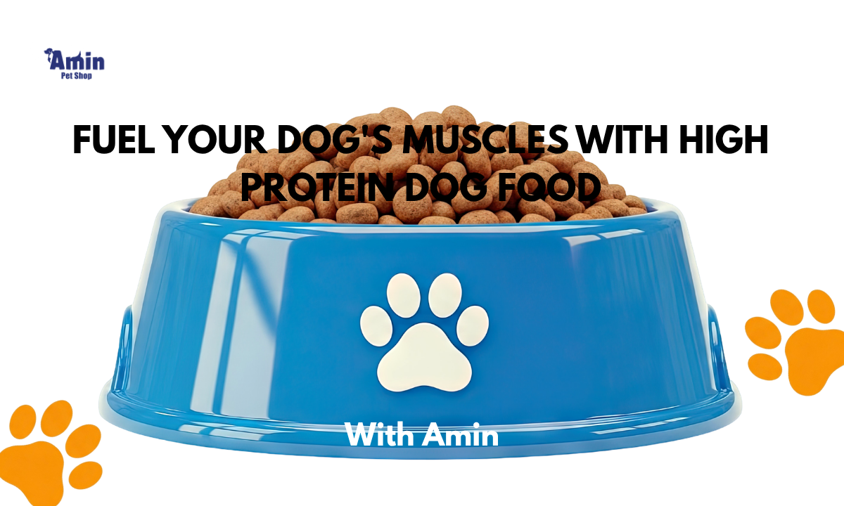 High Protein Dog Food