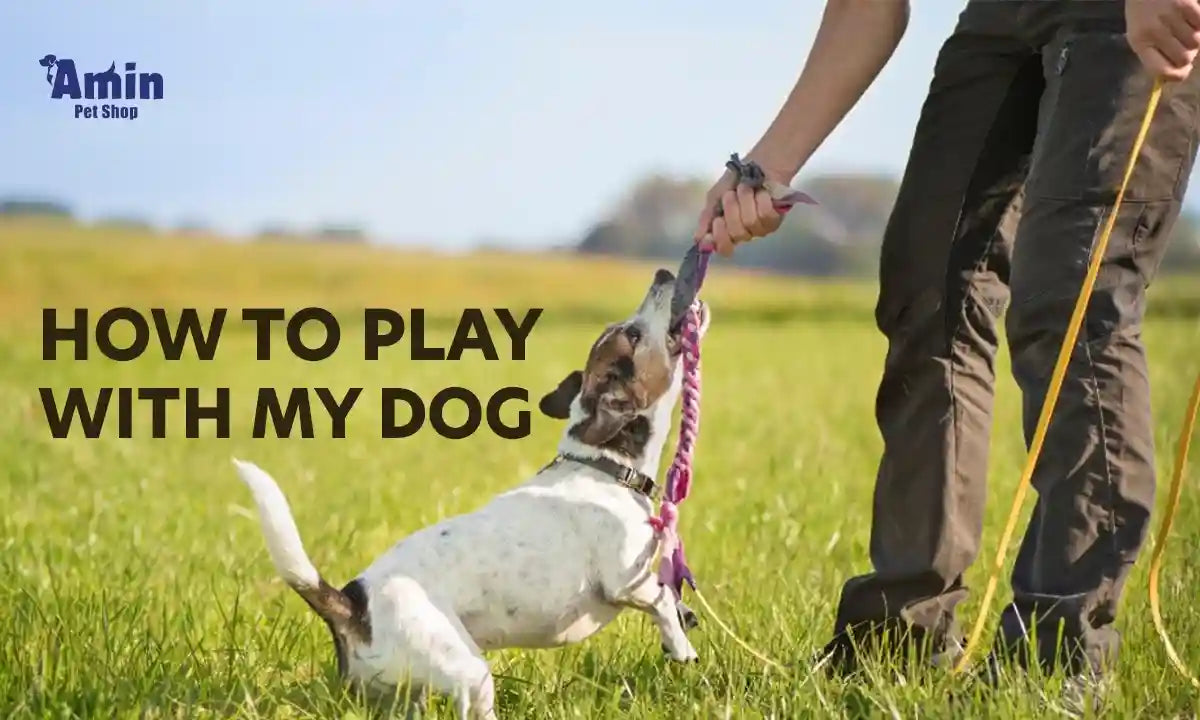 how to play with my dog: Fun Ideas to Bond and Exercise