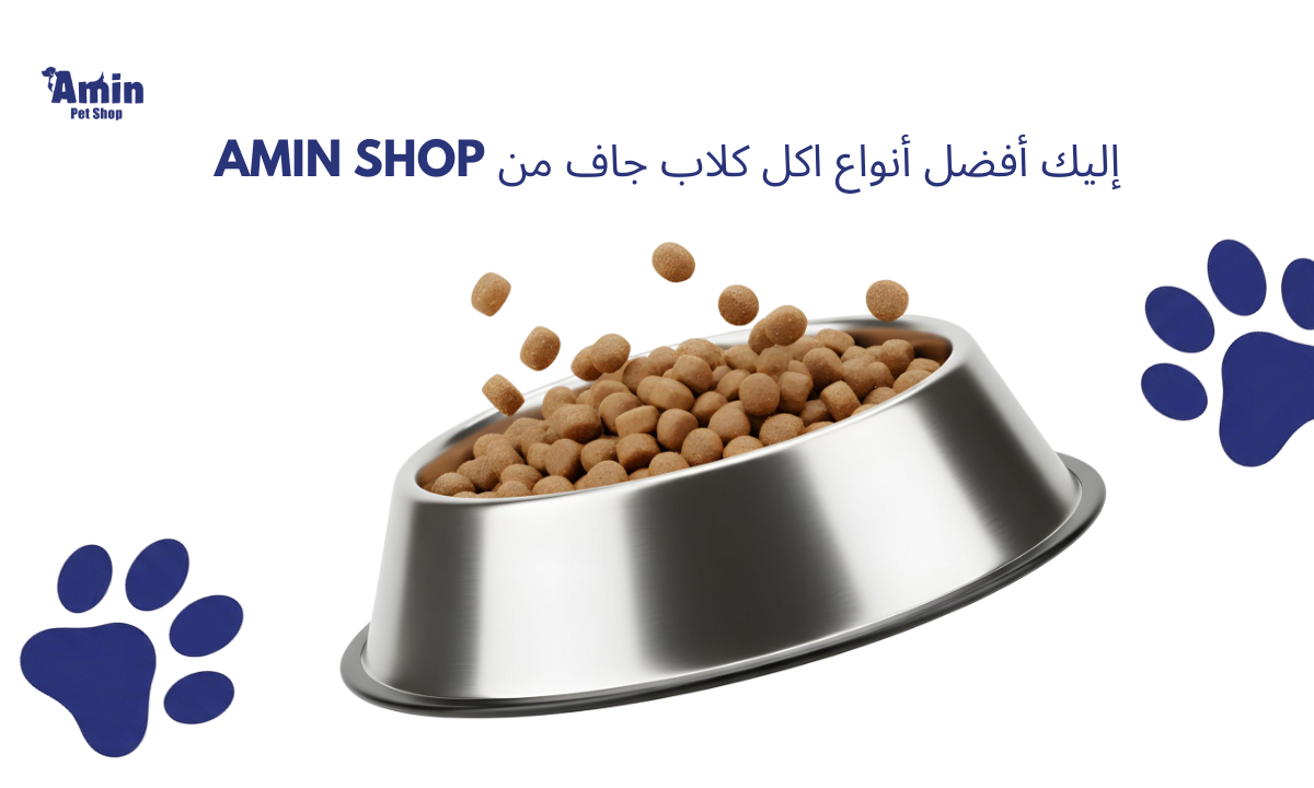 إليك أفضل أنواع اكل كلاب جاف من Amin Shop