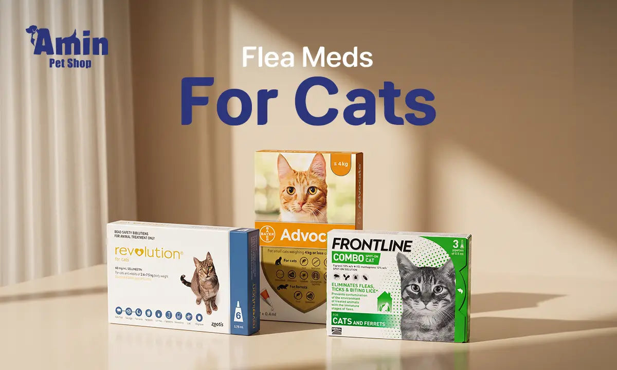 Flea Meds for Cats