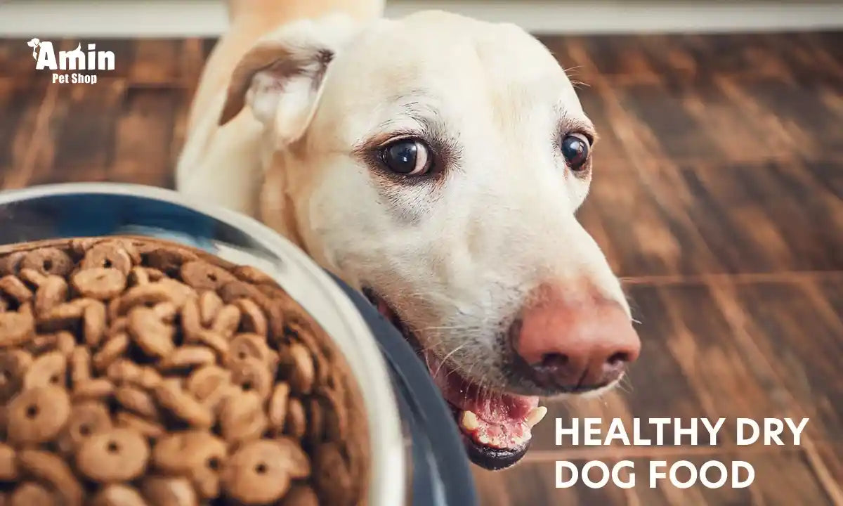 The Ultimate Guide to Choosing Healthy Dry Dog Food