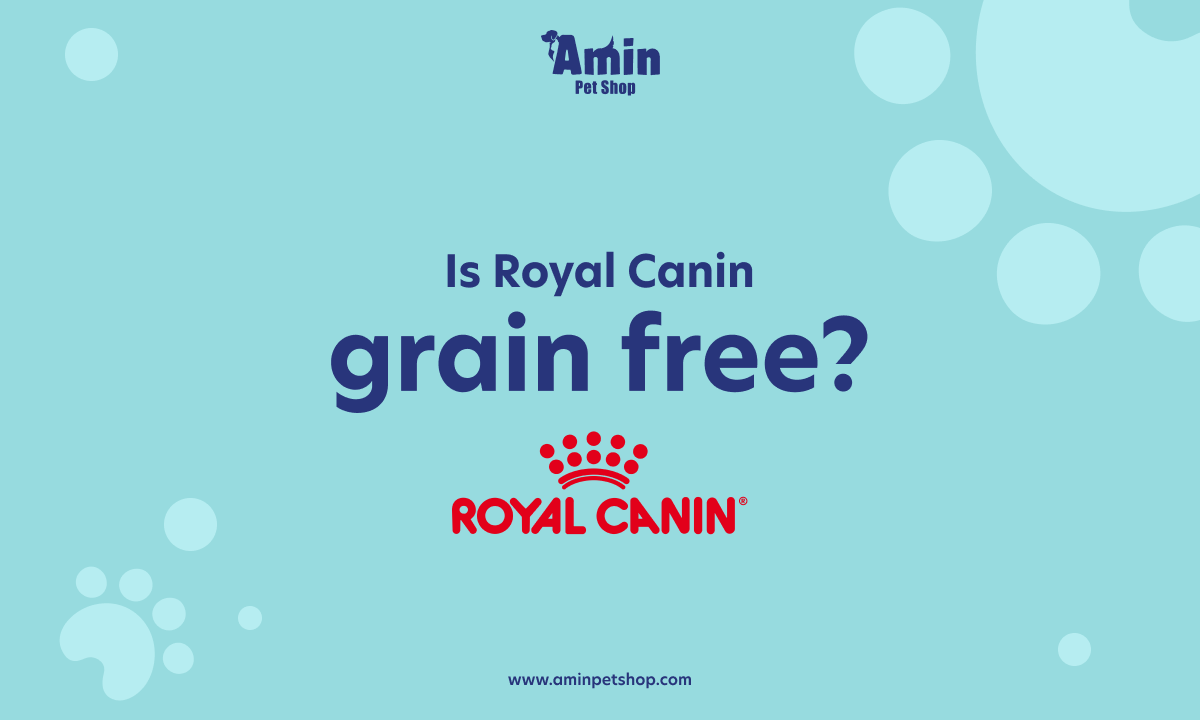 Is royal canin grain free read more to know the answer