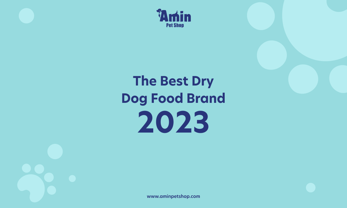 The Best Dry Dog Food Brand 2023