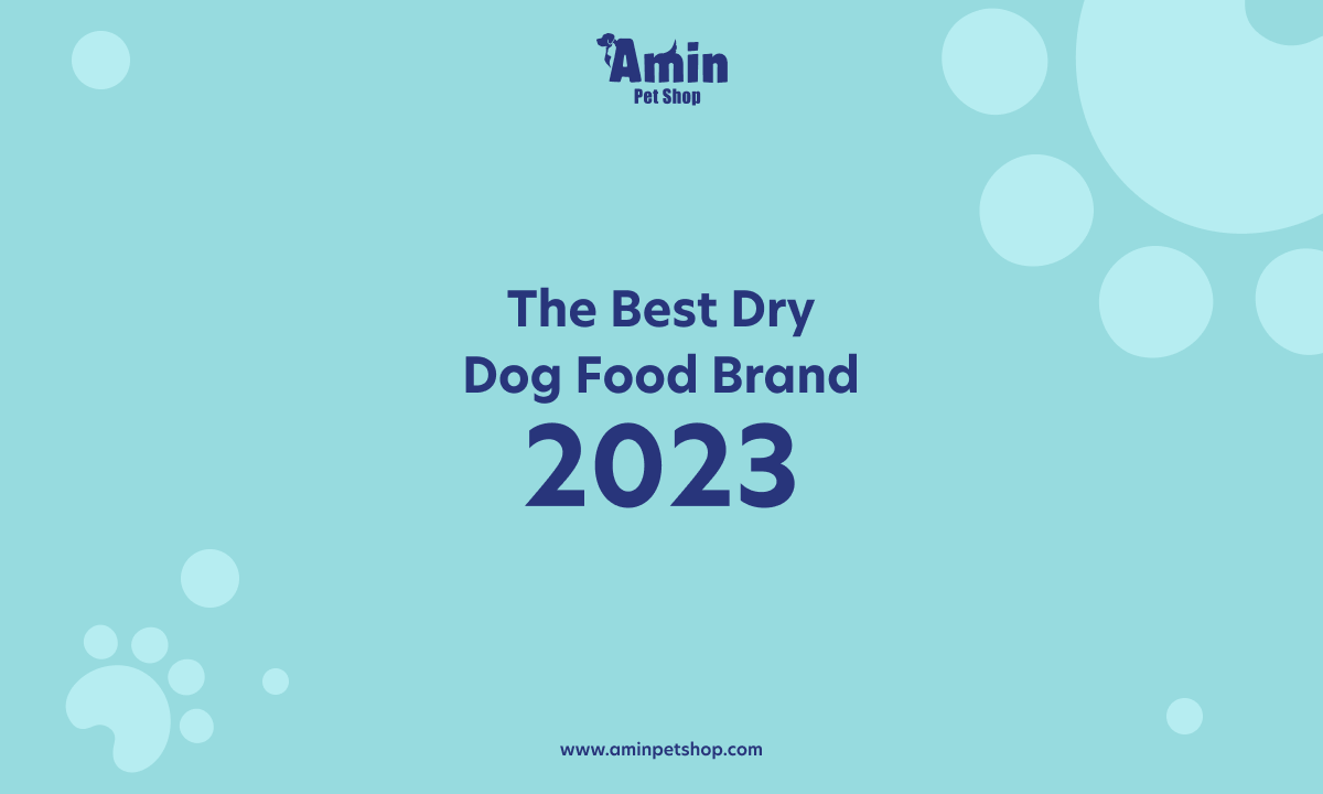 Healthiest dry sales dog food brands