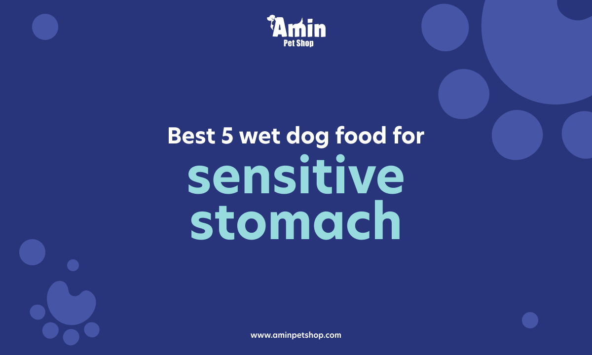 Wet Dog Food For Sensitive Stomach