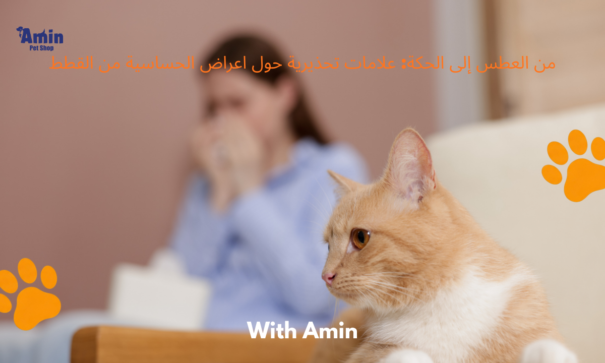 من العطس إلى الحكة: علامات تحذيرية حول اعراض الحساسية من القطط