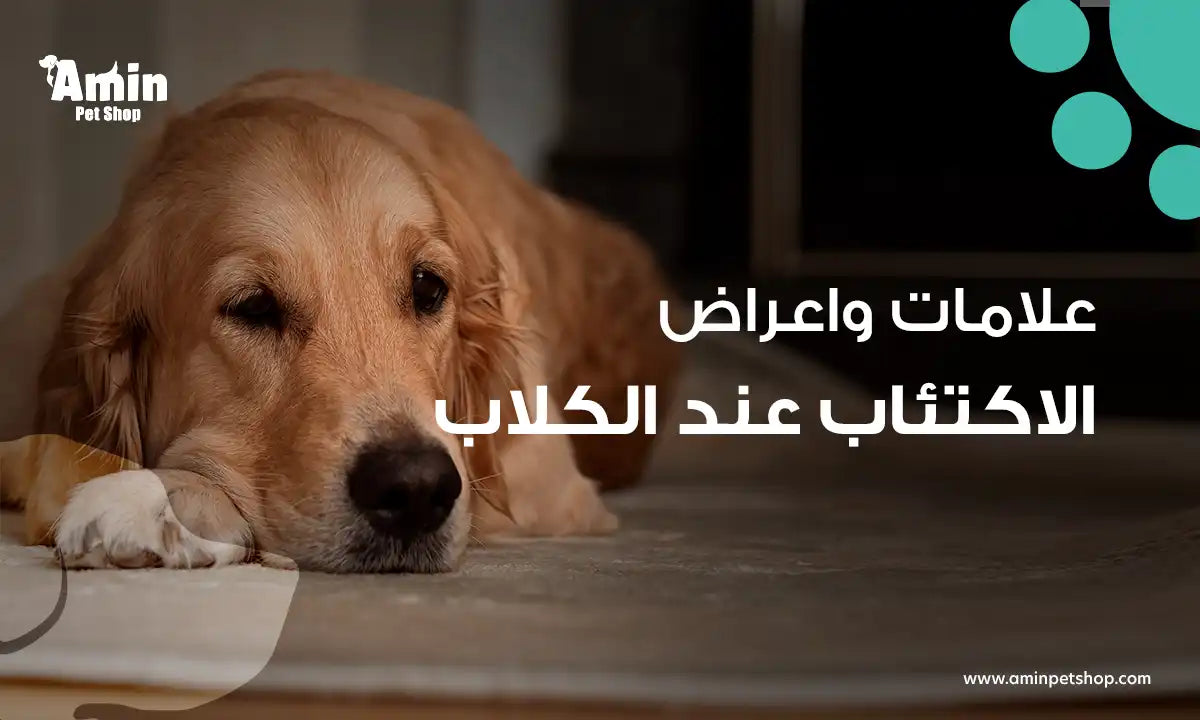 الاكتئاب عند الكلاب