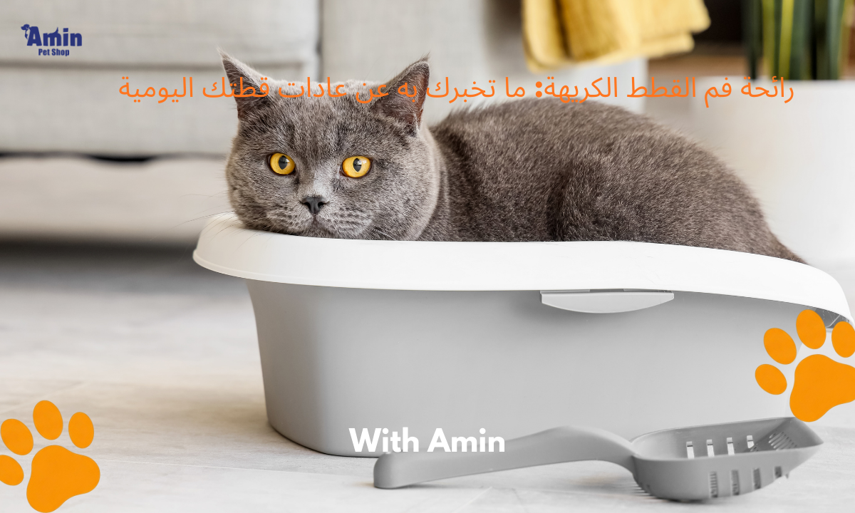 رائحة فم القطط الكريهة: ما تخبرك به عن عادات قطتك اليومية