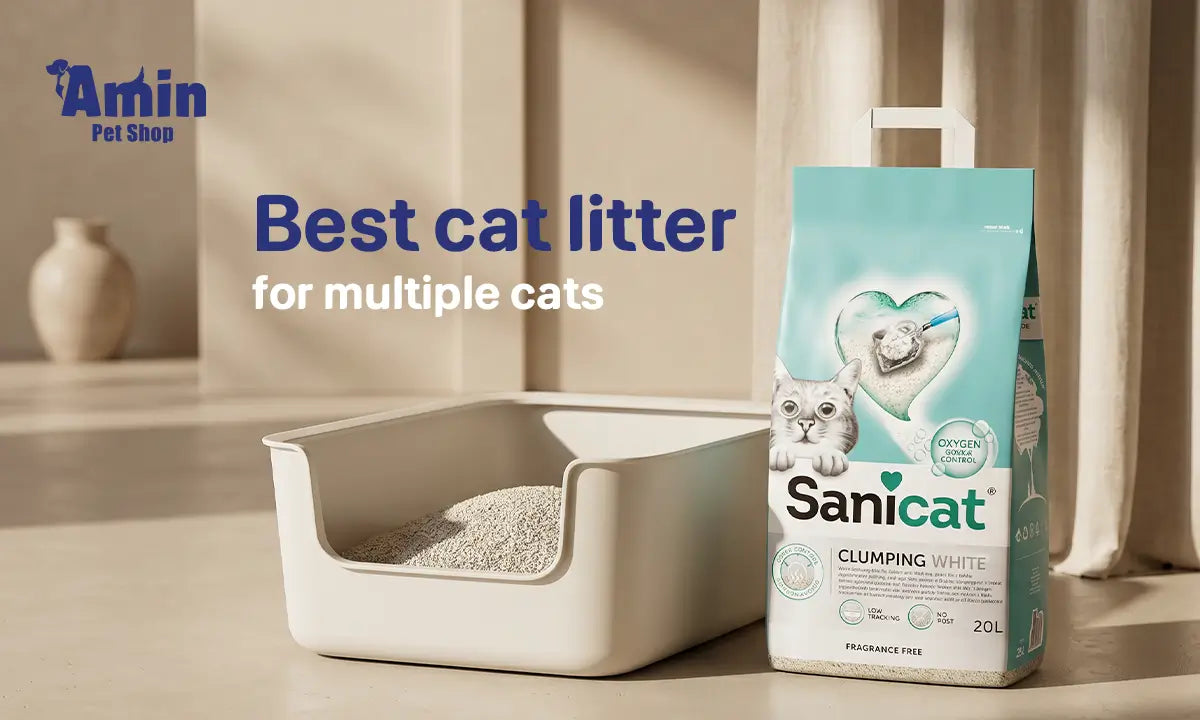 best cat litter for multiple cats