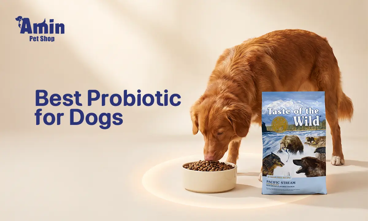 best probiotic for dogs