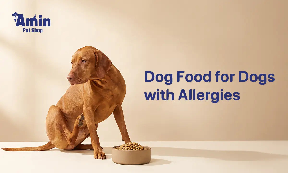 Dog Food Brands for Allergies