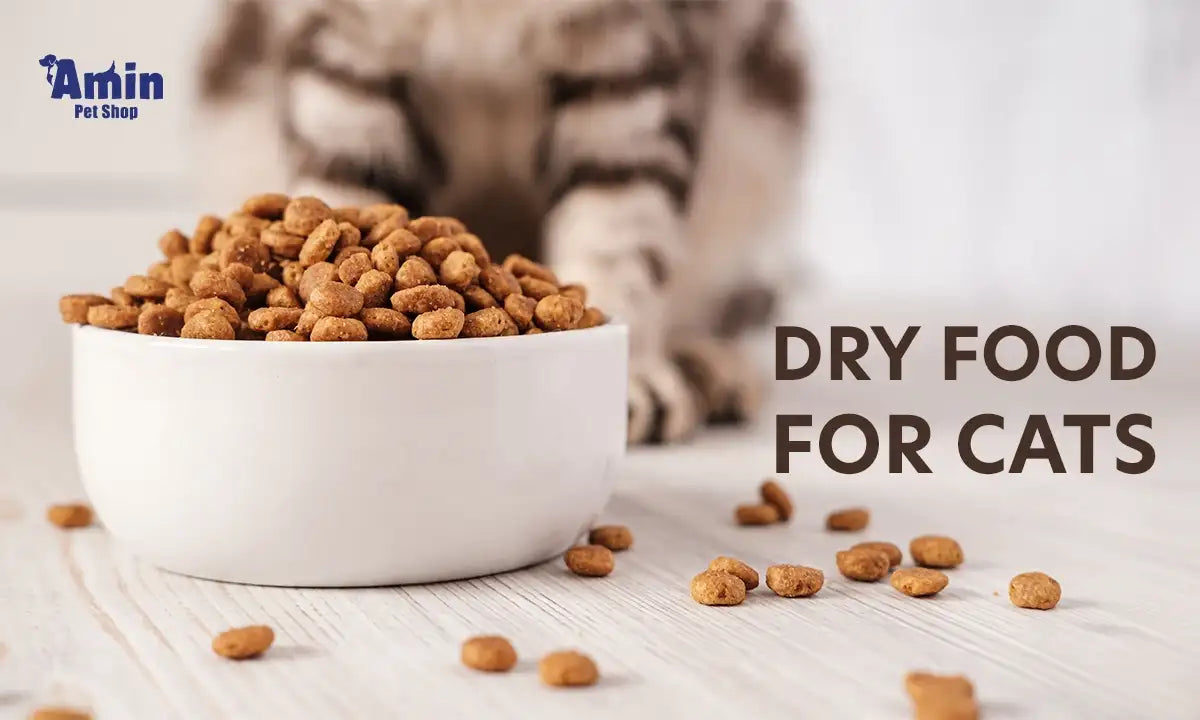 dry food for cats