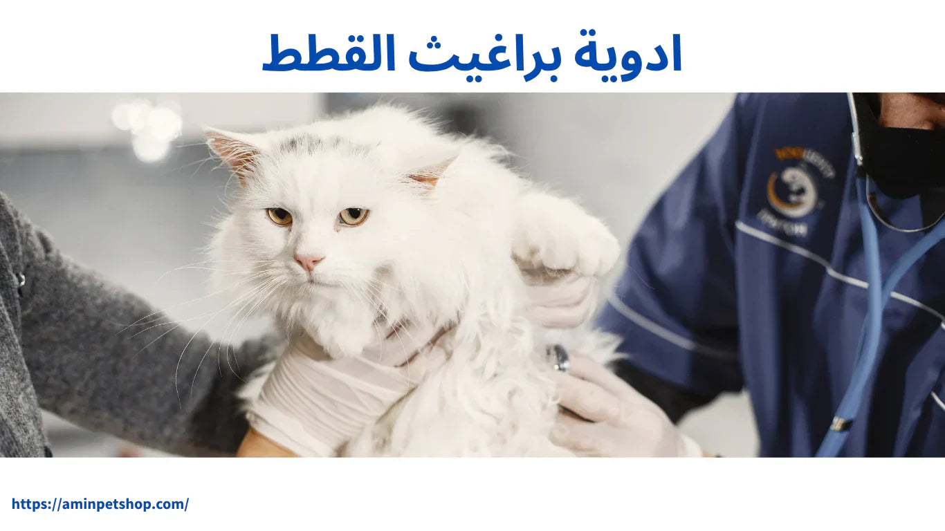 ادوية براغيث القطط