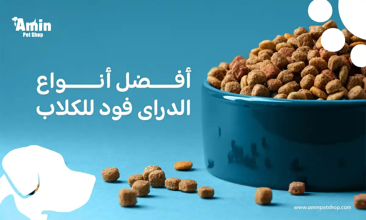 افضل انواع الدراى فود للكلاب