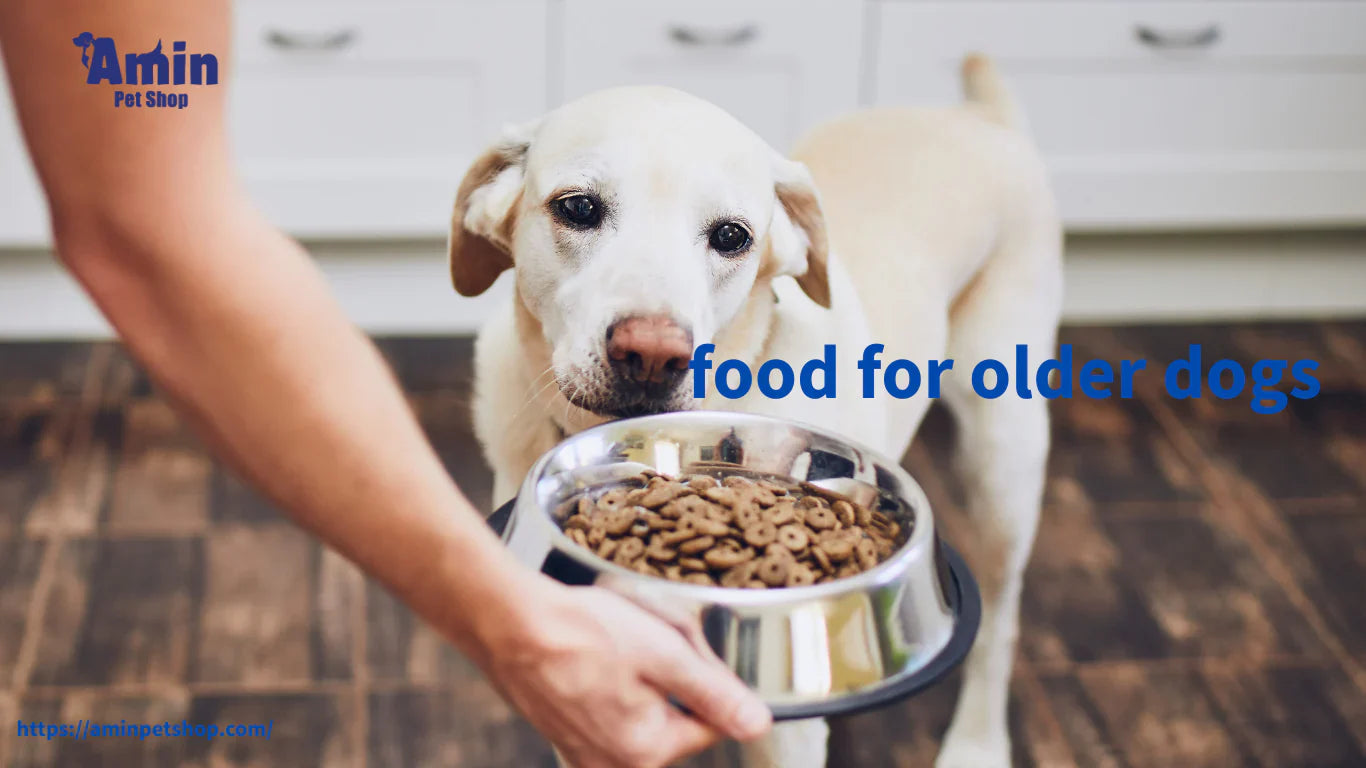 All You Need to Know About Food for Older Dogs