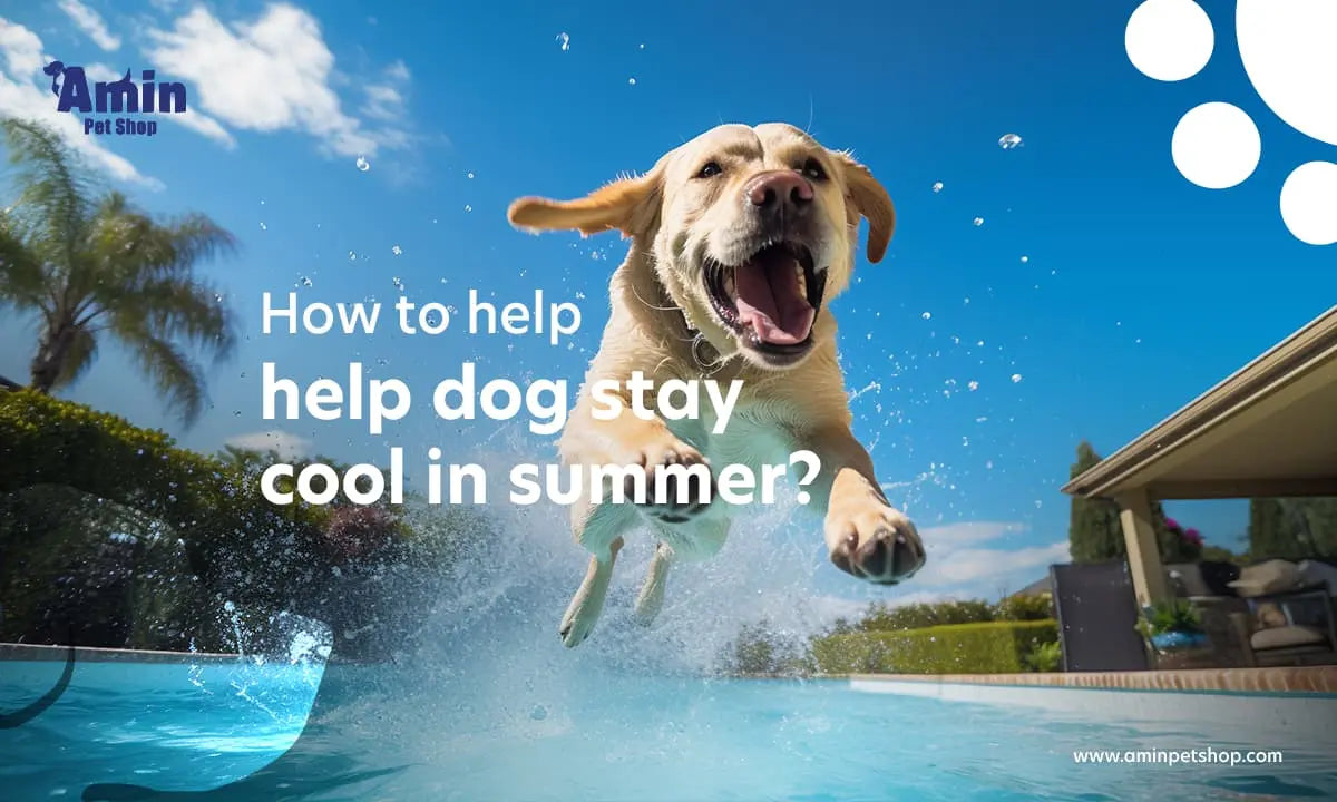 help dog stay cool in summer