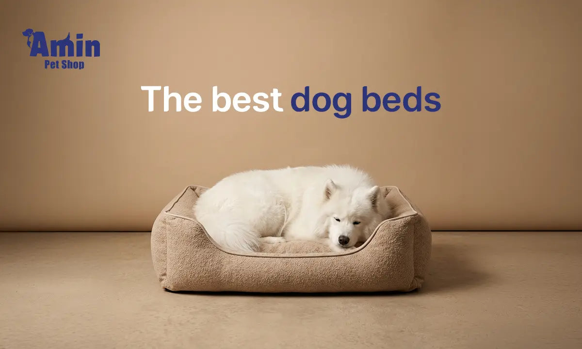 best dog beds