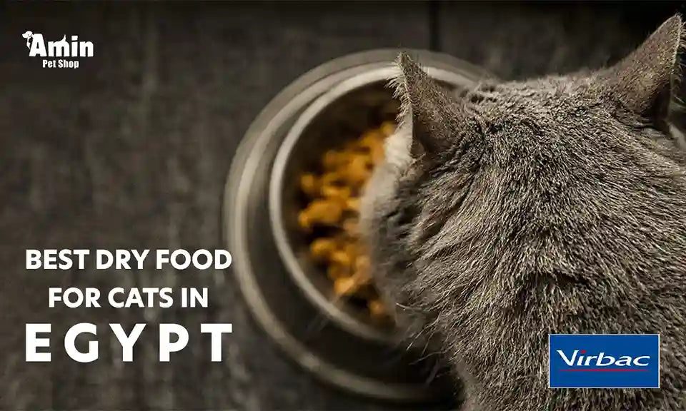 Why Virbac Dry Food Is a Smart Choice for Your Cat’s Health ?