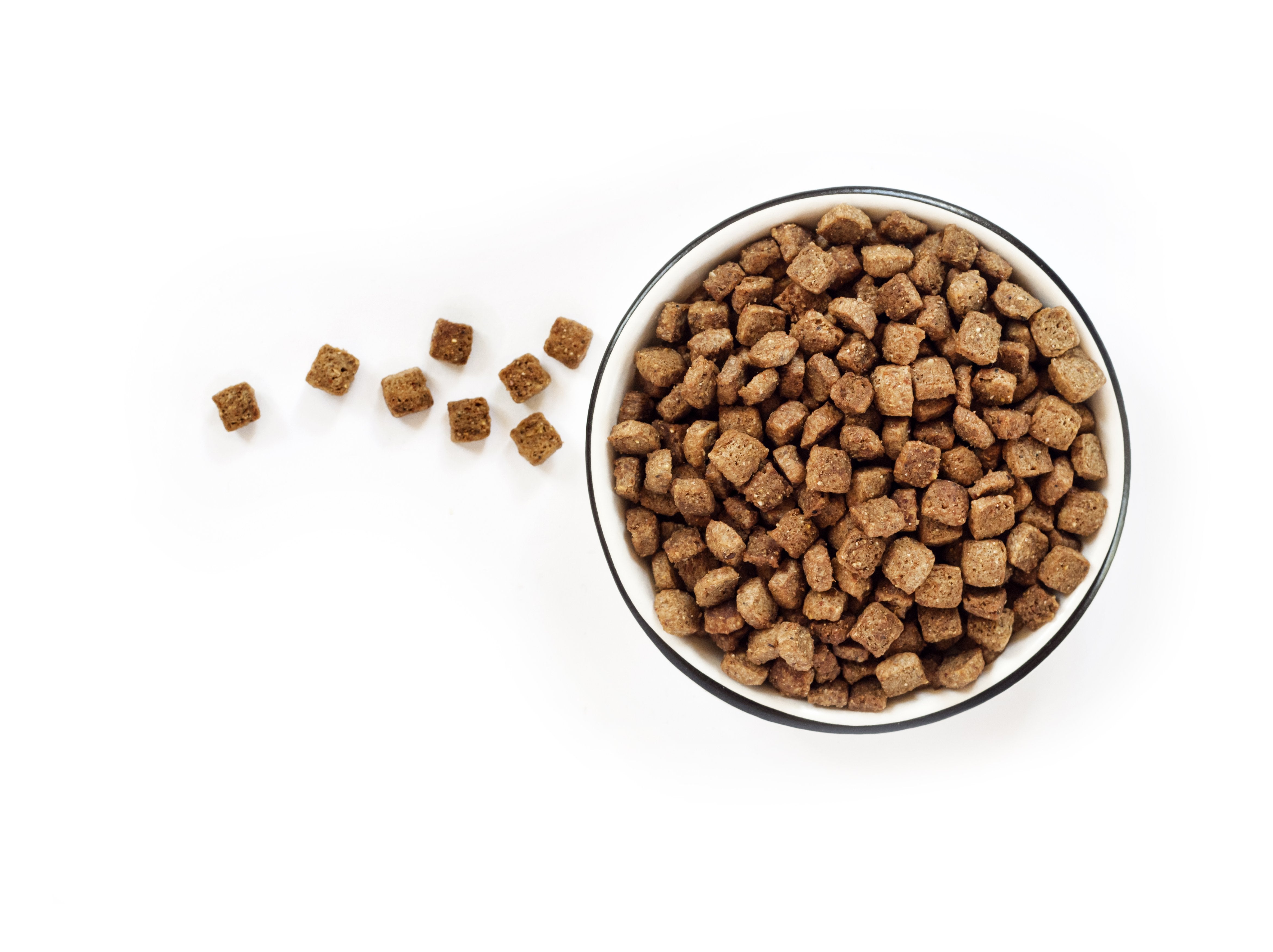 Puppy Dry Food Amin Pet Shop