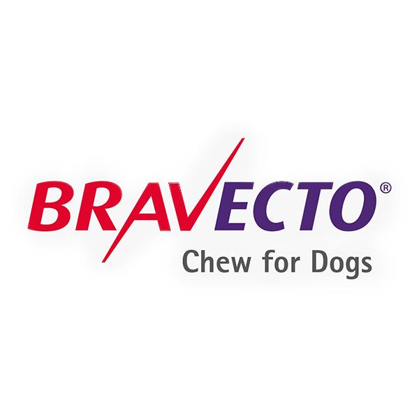 Bravecto for Dogs & Cats – Long-Lasting Flea & Tick Protection | Amin Pet Shop Egypt