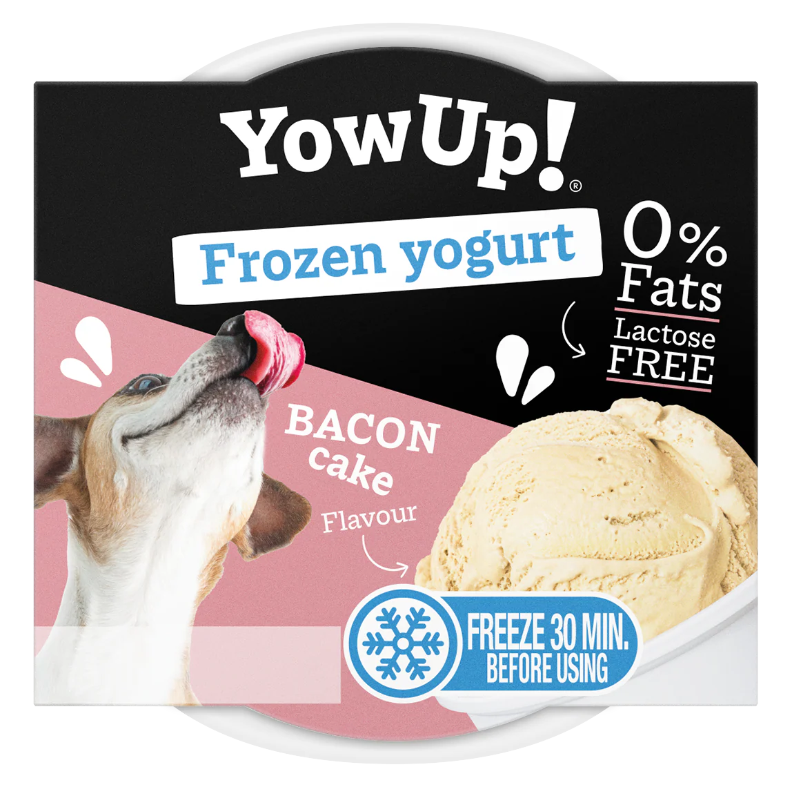 Yow Up Bacon Cake FROYO