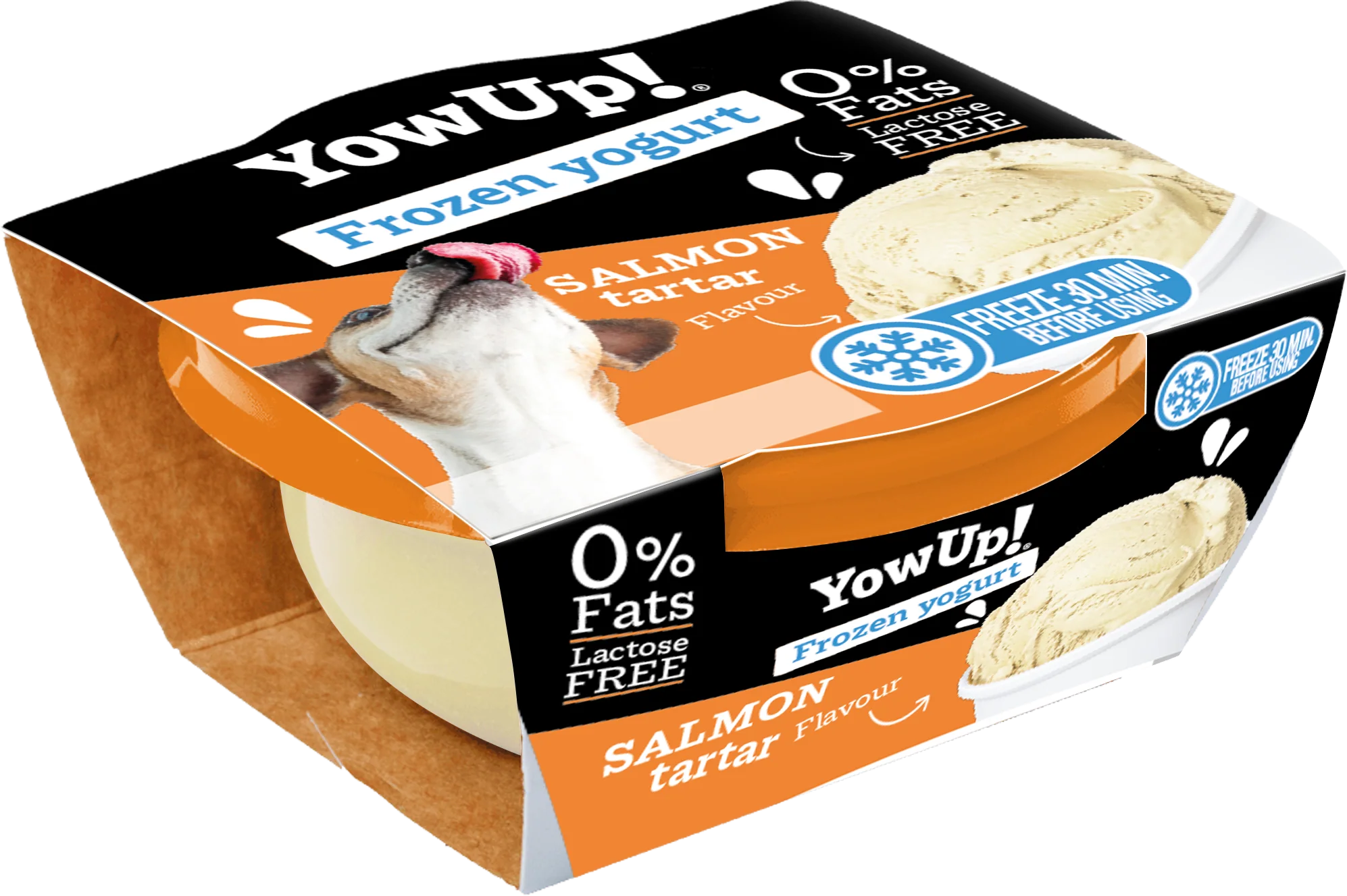 Yow Up Salmon Tartar FROYO