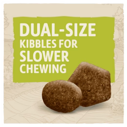 PURINA DOG CHOW ADULT (1+) With Chicken 2.5KG