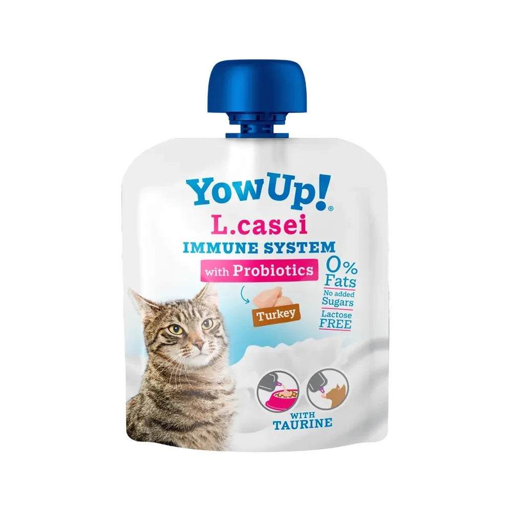 Yow Up L.casei Cats