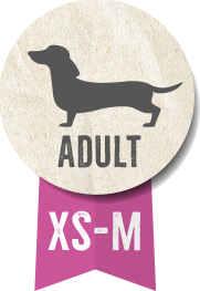 Belcando Baseline Explorer Adult Dogs 12.5kg