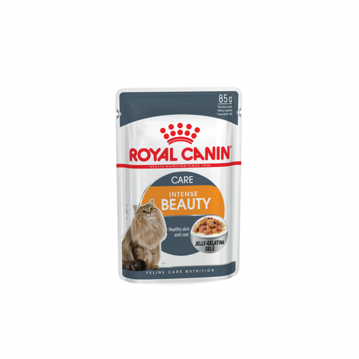 Royal Canin Intense Beauty in Jelly (85gm\Pouch) - Wet food for Adult cats - supports a healthy skin and shiny coat
